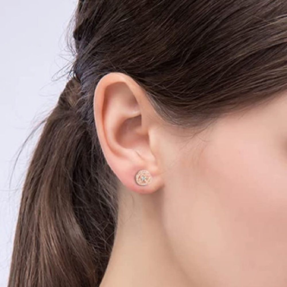 Diamond Beauty and the Beast Enchanted Rose Earrings - Picture 4 of 5